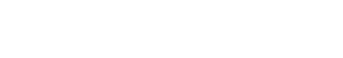 Orion Network