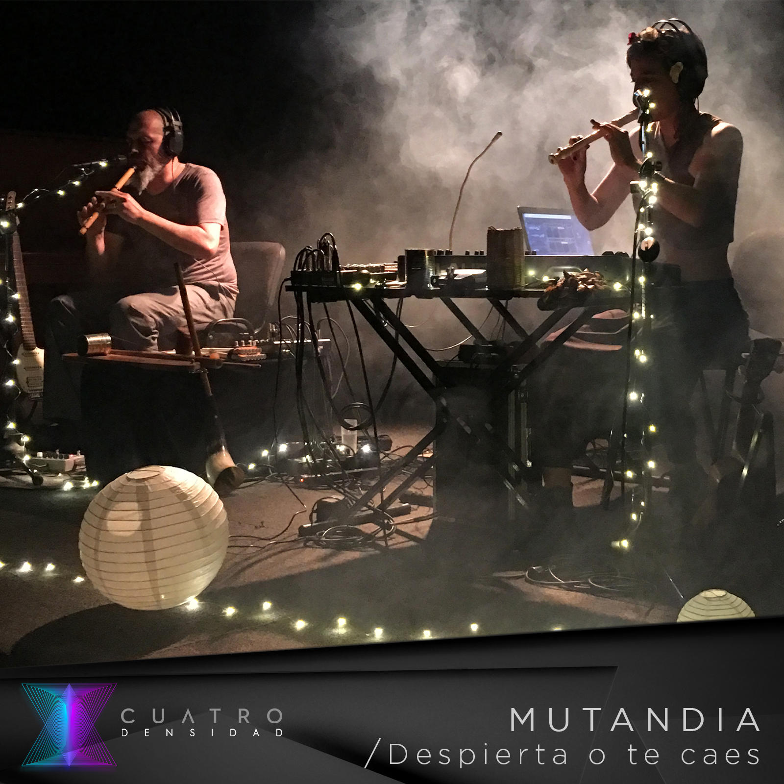 Mutandia