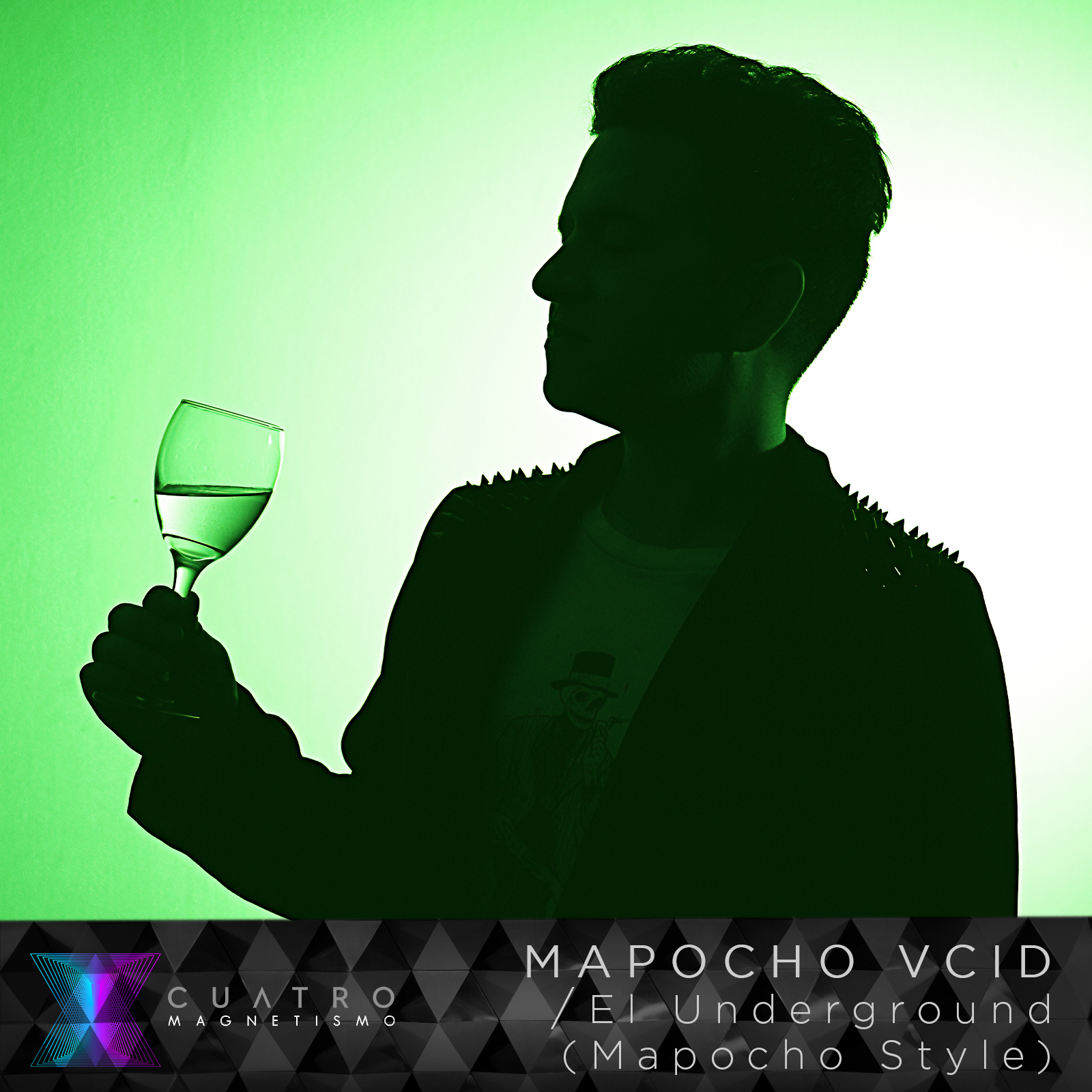 Mapocho Vcid